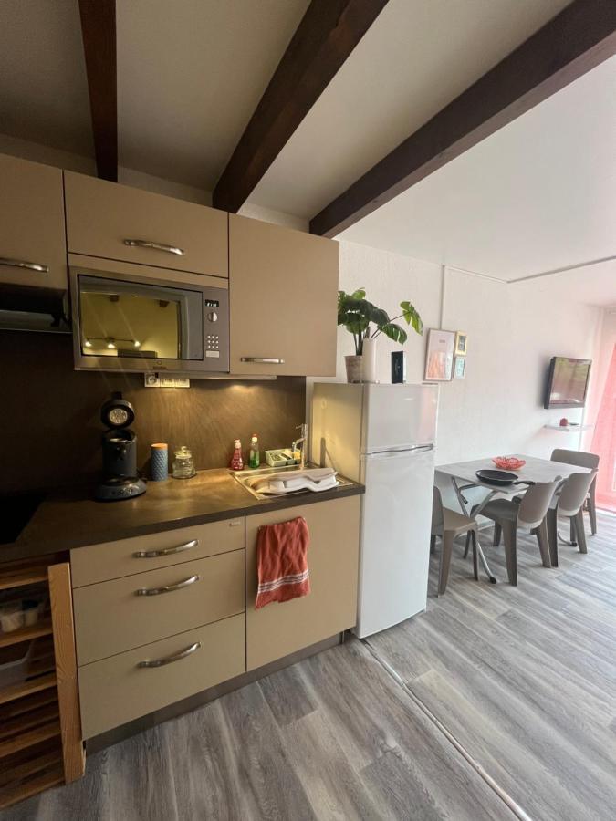 Appartement Argeles-Sur-Mer Avec Piscine A 500M De La Mer Bagian luar foto